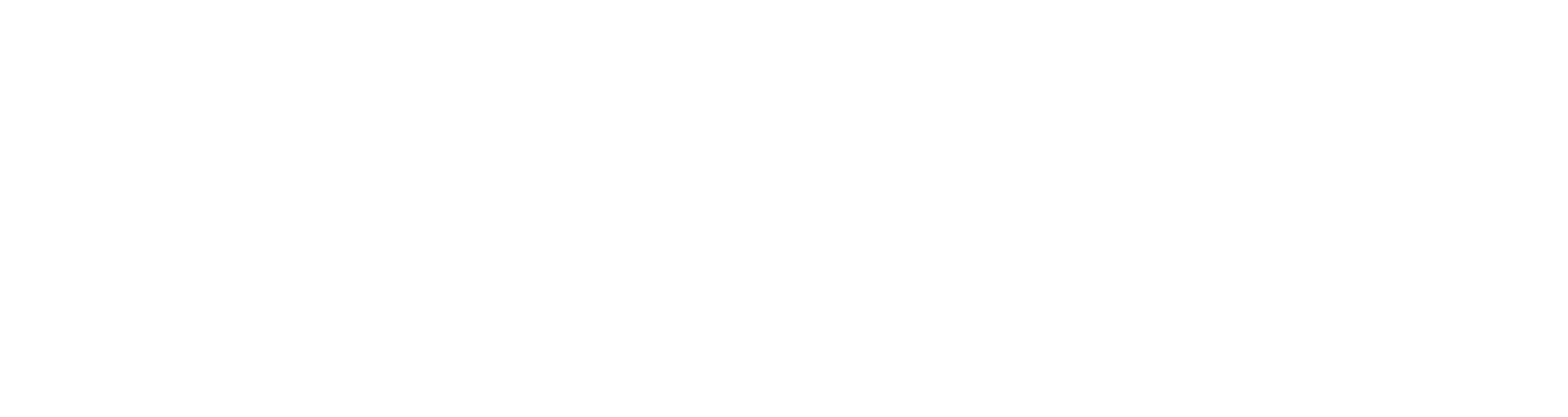 VERGE SPORT